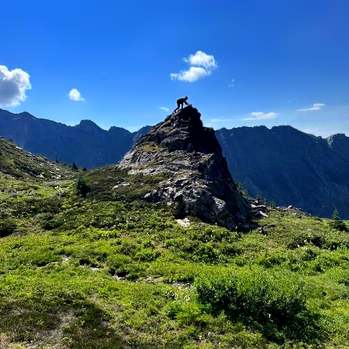 Mount Terry Fox Caledonia Ramblers